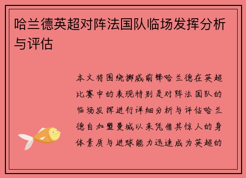 哈兰德英超对阵法国队临场发挥分析与评估